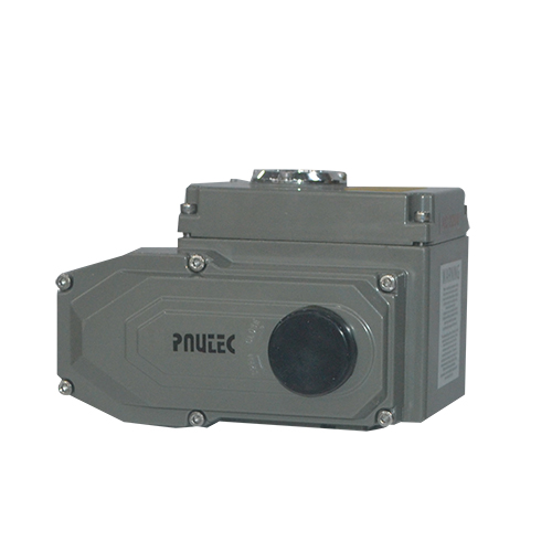 Peaglesky-Pneumatic-Actuator5